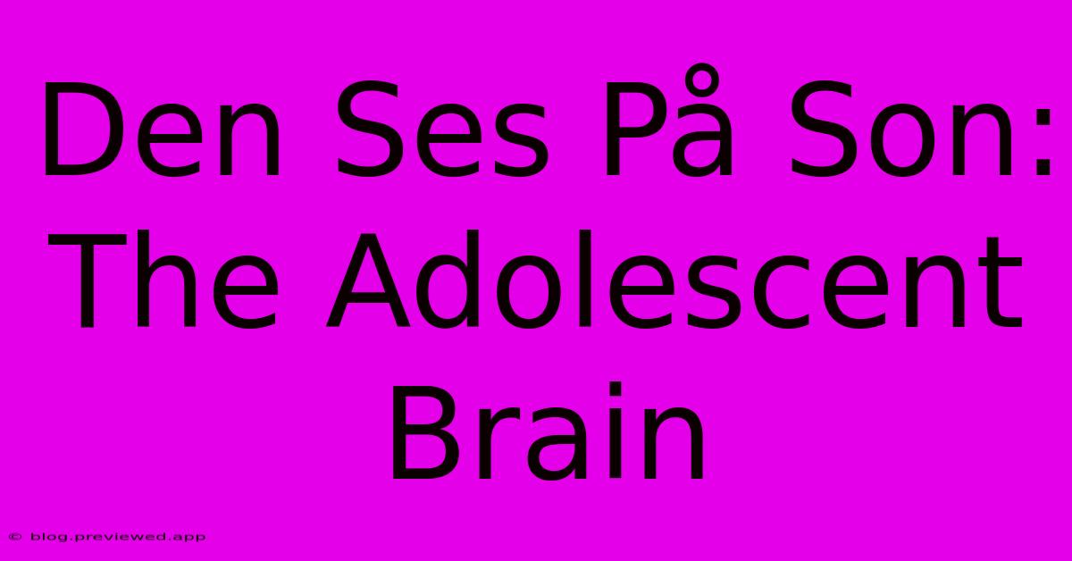 Den Ses På Son:  The Adolescent Brain